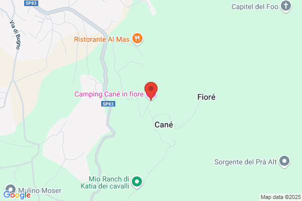 Cane' in Fiore