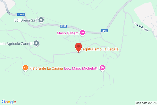 La Betulla Di Zampedri Maria Lucilla