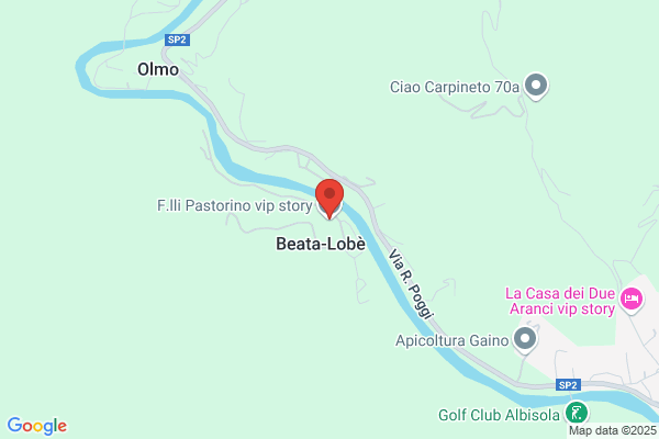 Pastorino gerolamo