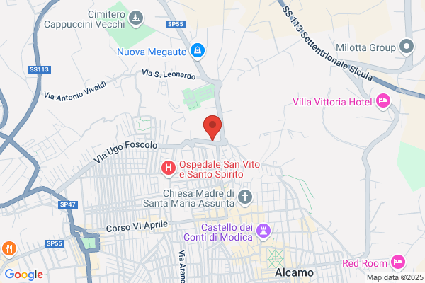 Video Service S.N.C. Di Santoro S. & c.