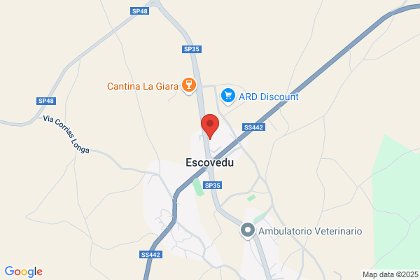 Agenzia Funebre Il Crisantemo