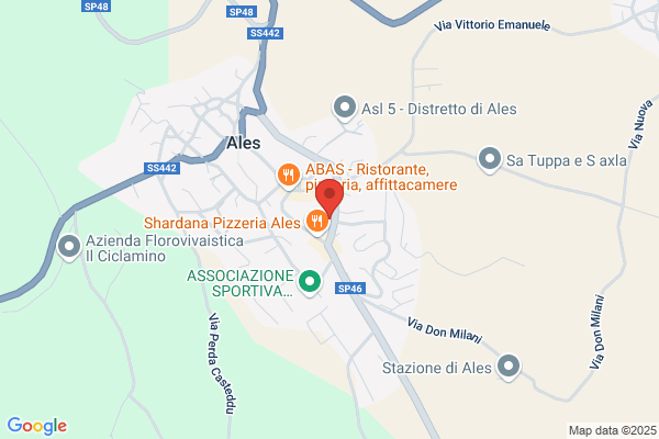 La Tartaruga Di Coni Monica E Manias Maria Cristina s.N.C.