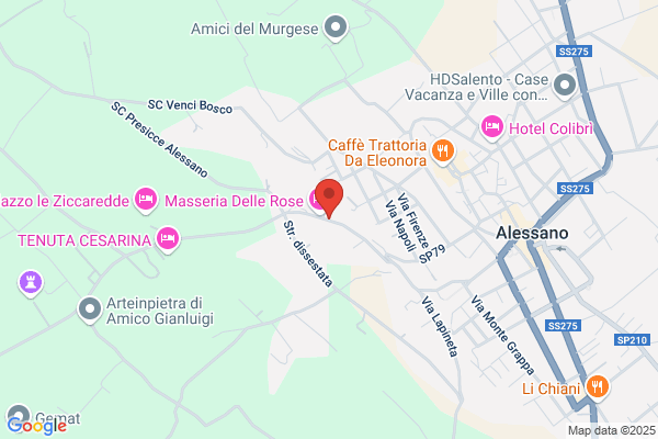 Scavi e Ristrutturazioni Torsello