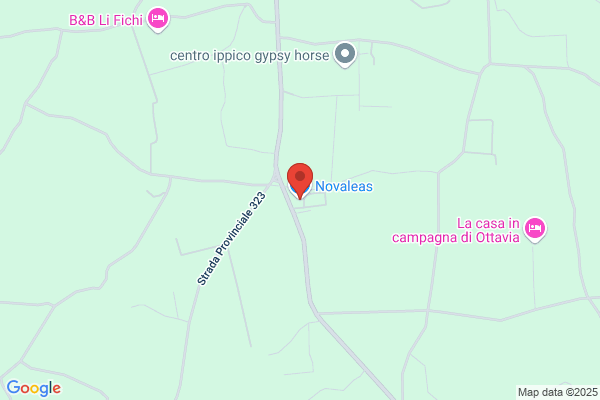 Novaleas