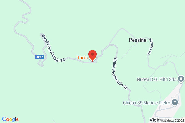 Tuais