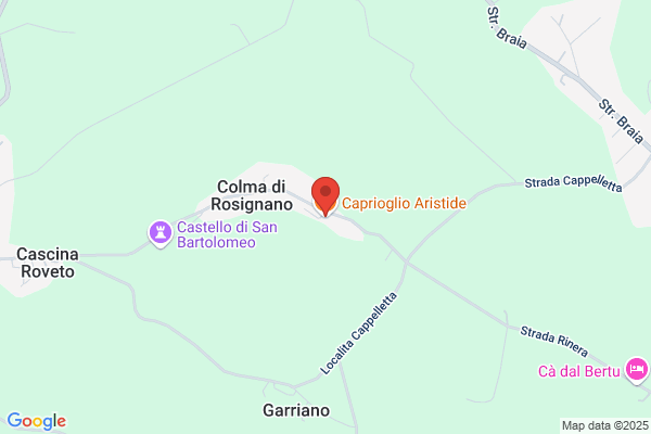 Caprioglio paolo