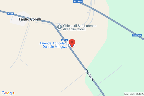 Minguzzi renzo
