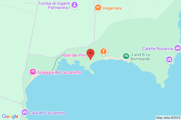 Hotel Dei Pini Srl
