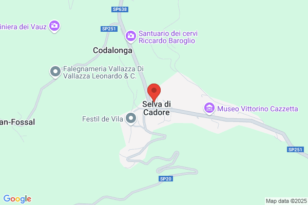 Selva Scavi