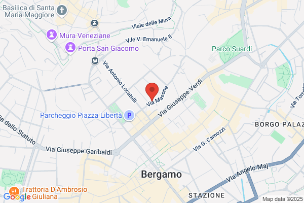 Ottaviani Network