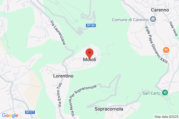 Moioli         mario