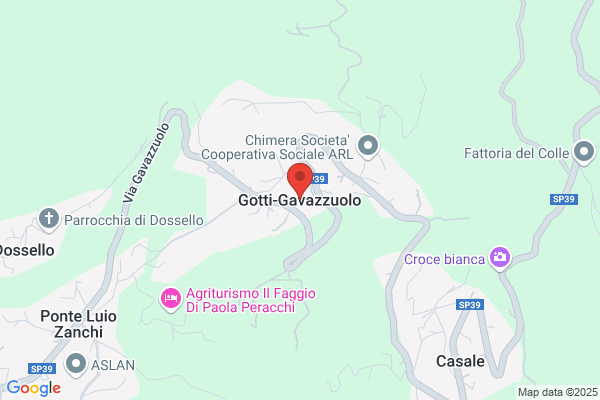 Gotti Graziella