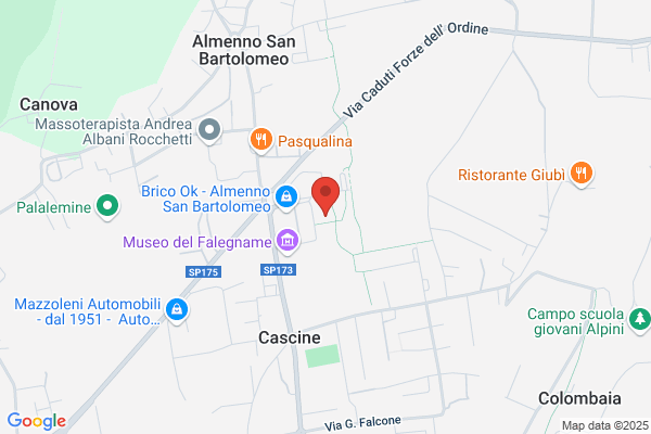 Stecarpenteria