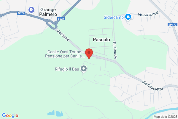 Ambulatorio Veterinario Di Caliri E Milan