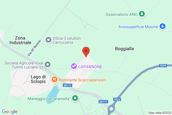 Dimec Denegri Ingranaggi Meccanici Sas