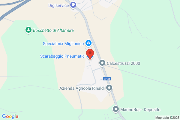 Scarabaggio luigi