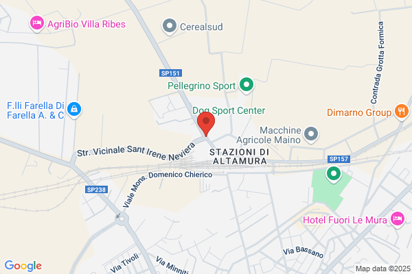 Dds Coperture in Legno - Azzilonna