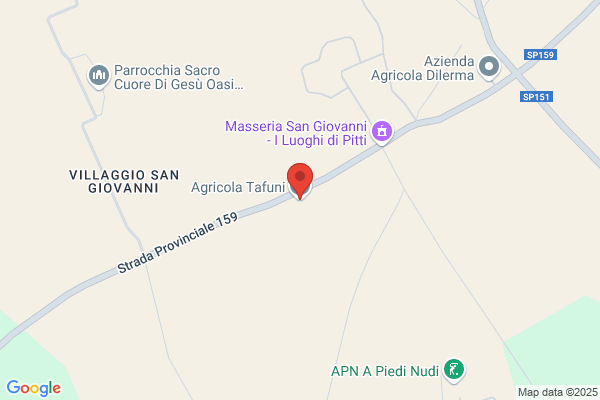 Tafuni angelo (Geom.)