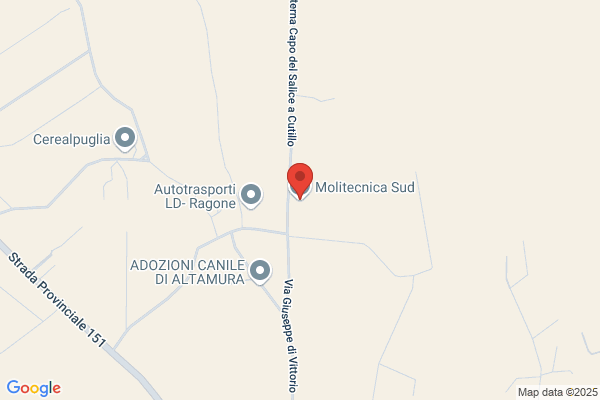 Molitecnica Sud (S.N.C.)