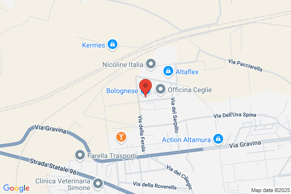 Bolognese