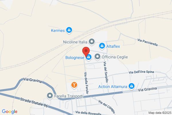 Enfo Service Srl
