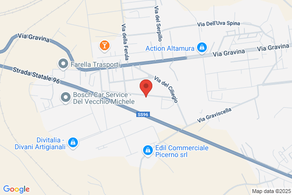 Nuova Rettifica Petruzzelli Srl
