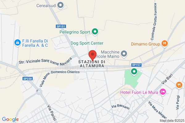 Pizzeria Ristorante La Buca Degli Artisti