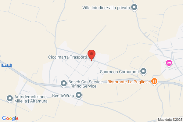 Ciccimarra Trasporti Srl