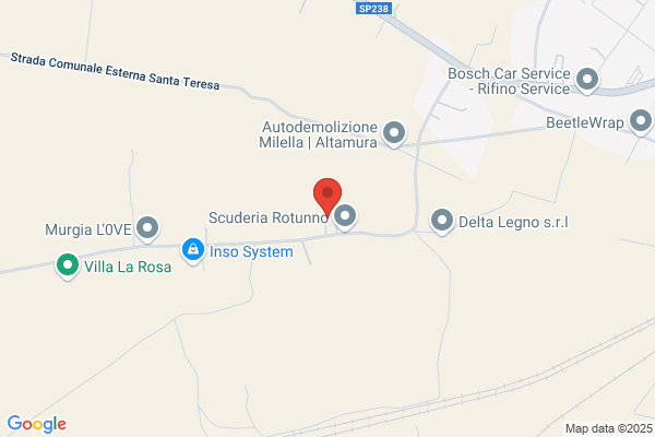 Rotunno giovannii