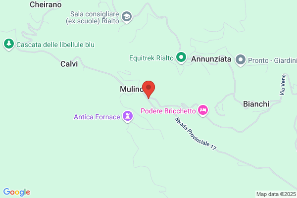 Ligurlegno Srl