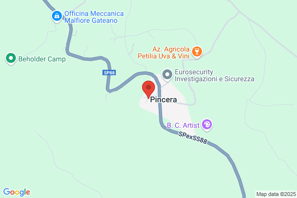 Alcagas