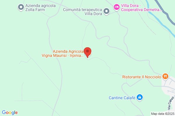 Azienda Agricola Vigna Maurisi