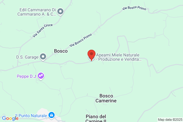 Apeami' Miele Naturale - Produzione e Vendita di Miele Naturale del Cilento