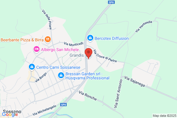 Grandis Silvano (Dr.)