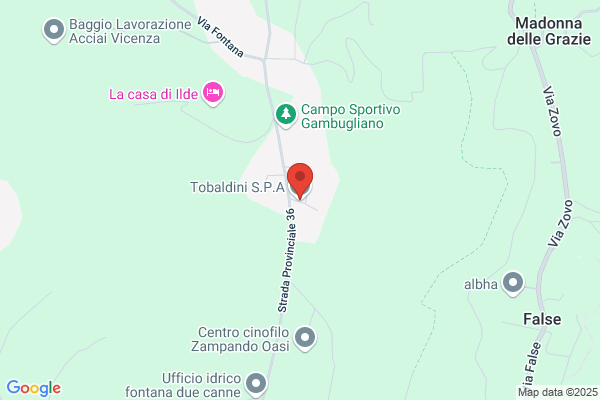 Tobaldini S.P.A.