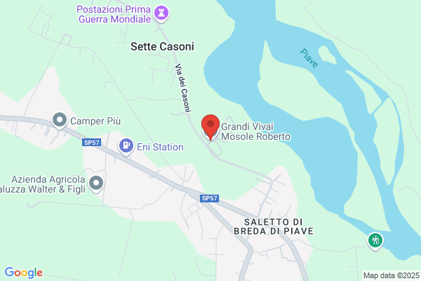 Grandi Vivai Roberto Mosole - L'Arte del Sasso