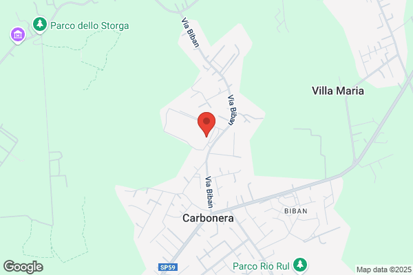 Cartoplastica