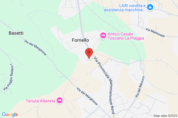 Ristorante Il Fornello