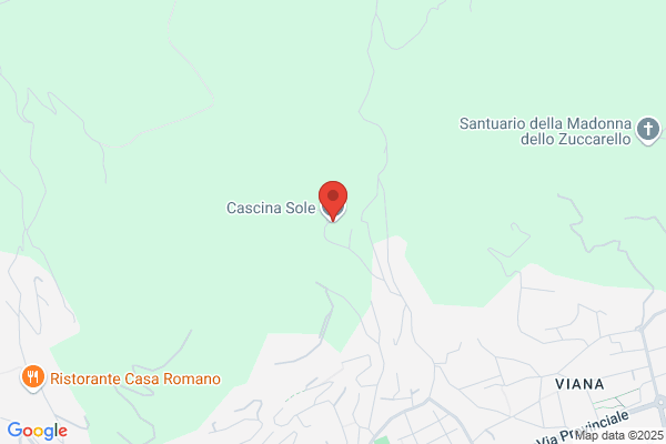 Locatelli simone
