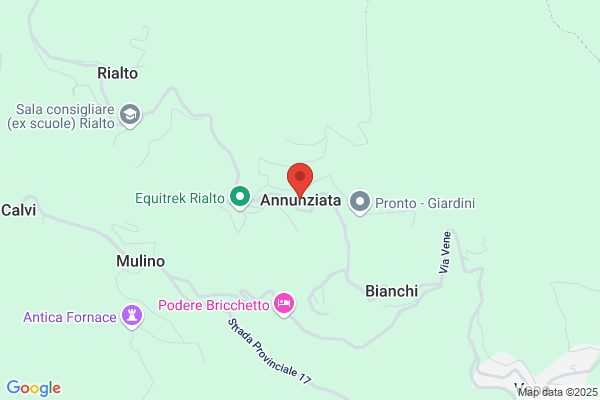 Villella annunziata