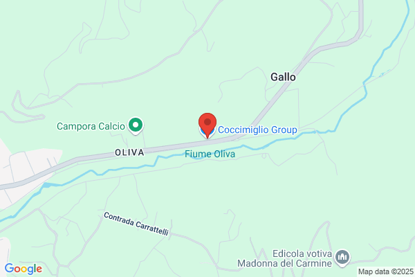 Coccimiglio Group Srl