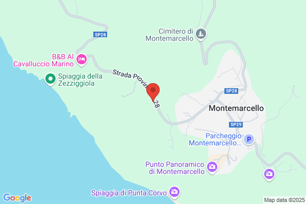 Randelli emanuele