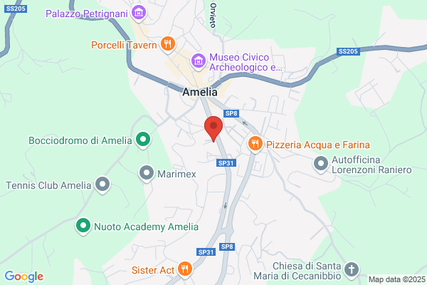 Grilli Paola