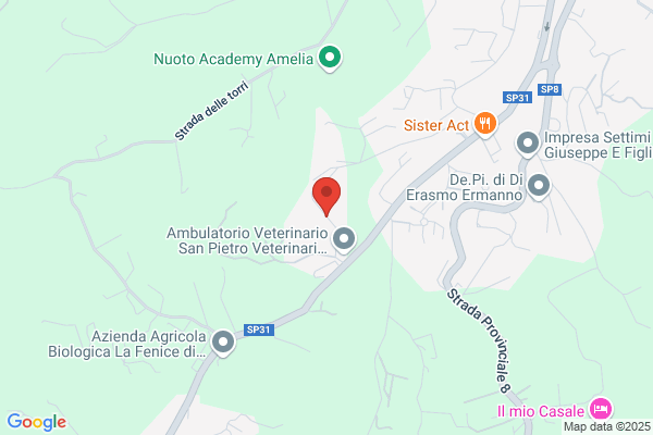 Provincia Di Terni