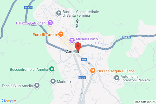 Sensini giuseppe