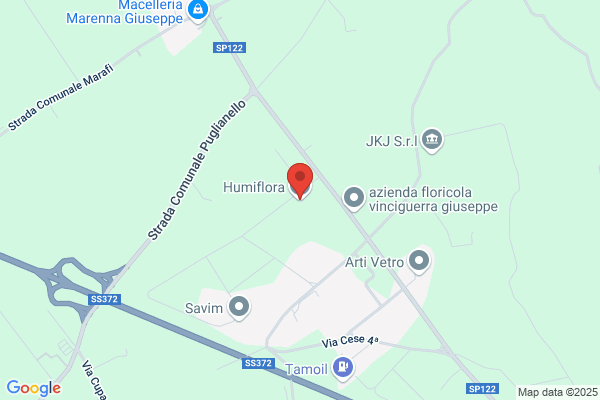 Humiflora