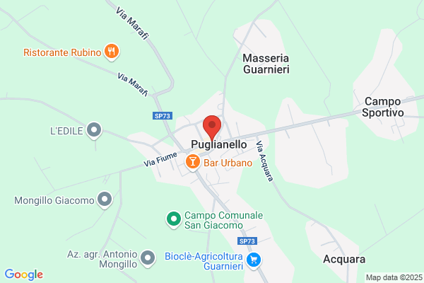 Il Foro dei Baroni Osteria-Pizzeria