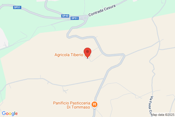 Vinicola Tiberio