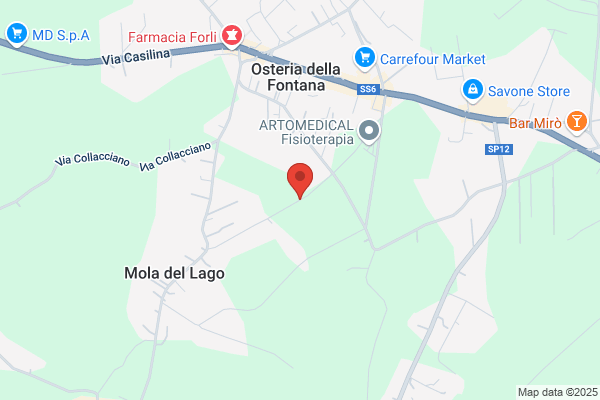 St.Leg.Avv.Gabriele Lavorgna (Avv.)