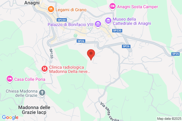 Nulli manuela